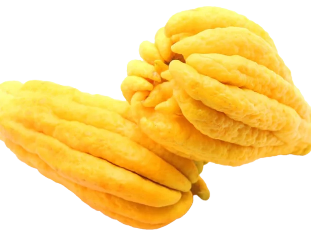 Buda'nın Eli