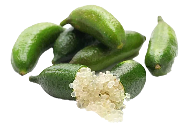 Finger lime